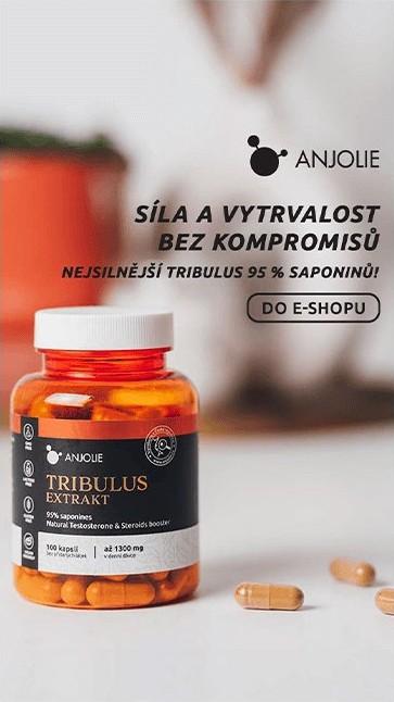 Interscroller pro Anjolie, varianta 2