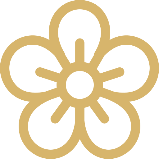 Creator