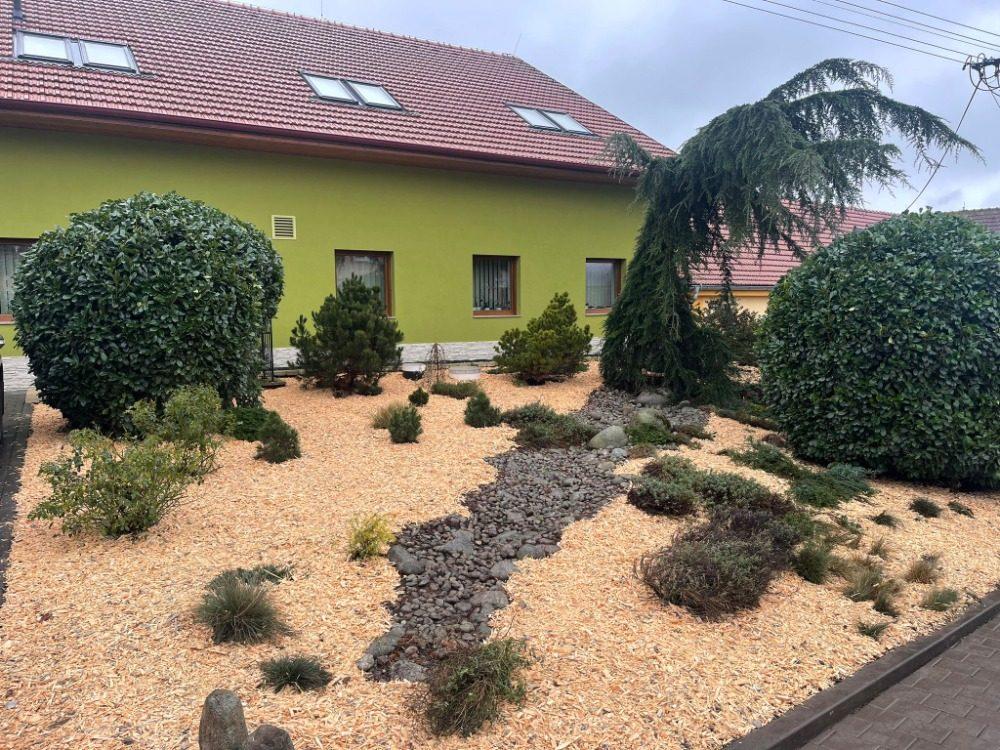 Upravená předzahrádka s koulemi bobkovišně a převislým cedrem