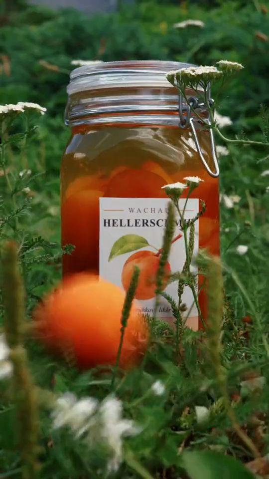 Reel Marillu: sklenice s meruňkami v trávě