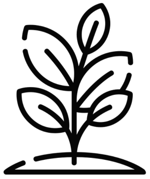 Creator